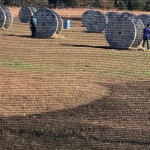 Meet your Posher, Tamika